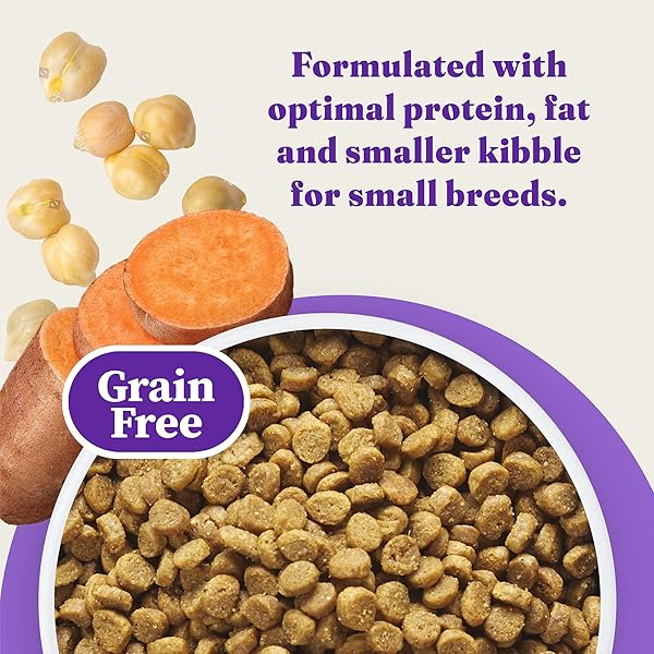 HALO HOLISTIC SMALL BREED DOG FOOD, CAGE FREE CHICKEN & SWEET POTATO RECIPE, GRAIN FREE DRY DOG FOOD, COMPLETE DIGESTIVE HEALTH, 3.5 LB BAG