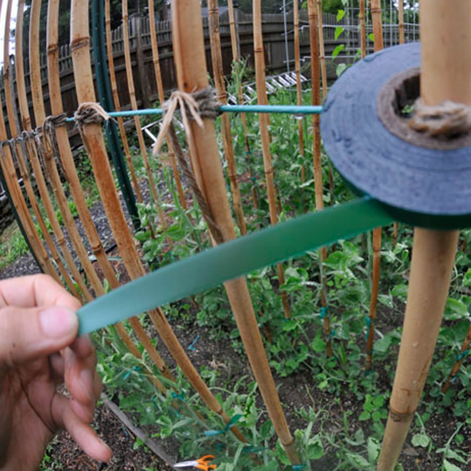 Hook and Loop Plant Tie Tape (Pack of 3)