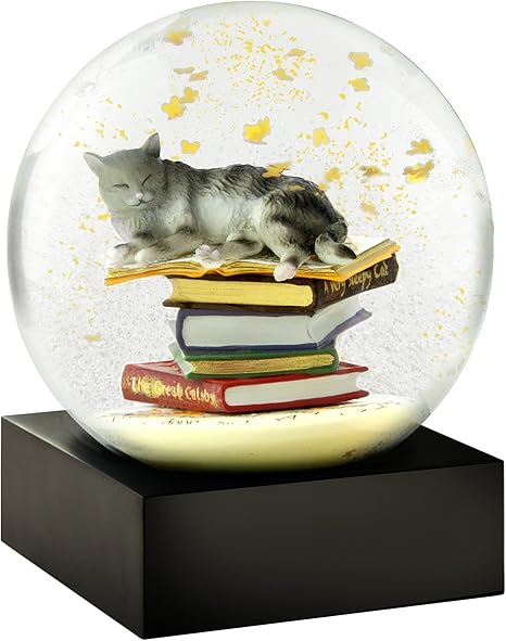 Coolsnowglobes Boule A Neige Chat Sur Livres Amazon Fr Cuisine Maison