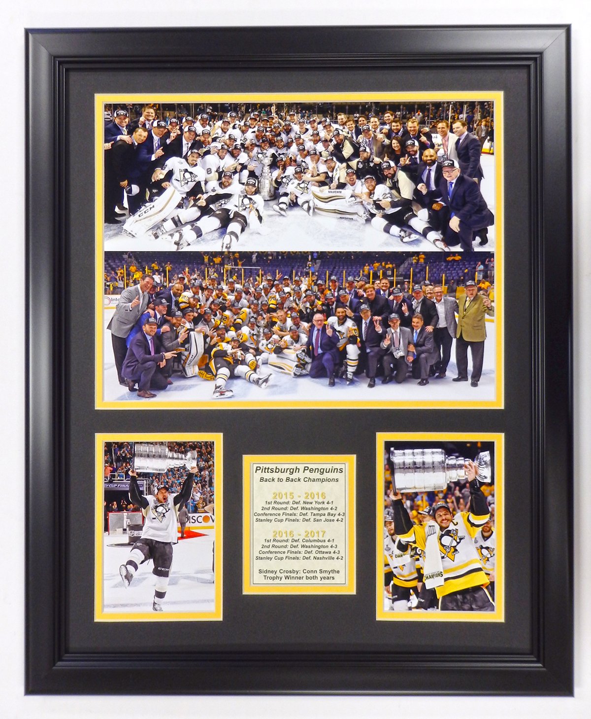 Best Stanley Cup Pictures 2016