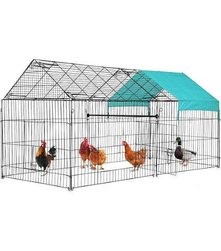 Lot De 2 Cages Sphériques Pour Poulets/Petits Animaux - 20cm Et 30cm, Blanc/Jaune - Pour Jardin, Ferme - Sécurité Extérieure - 7