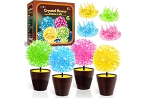 GobiDex Science Kits for Kids, Crystal Growing Kit-Crystals Grow Fast in 24 Hours, STEM Projects Learning & Education Toys Gift for Boys & Girls, Arts and Arafts for Kids Ages 6-8 8-12