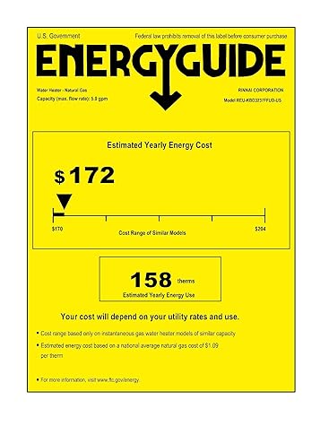 Rinnai RUC98iN Ultra Series Natural Gas Tankless Water Heater, Twin