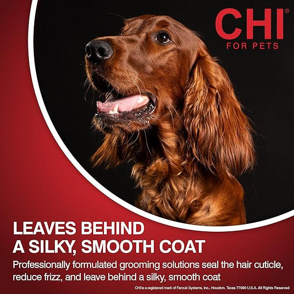 CHI FOR DOGS DETANGLING FINISHING SPRAY – BEST LEAVE-IN SOLUTION FOR TANGLES AND KNOTS – DOG GROOMING MIST FOR PUPPIES AND ADULTS – SULFATE AND PARABEN FREE – MADE IN USA, 10 FL OZ