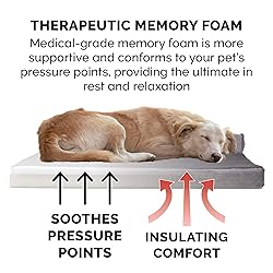 Furhaven Memory Foam Dog Bed for Large Dogs