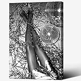 Fashion Black And White Disco Ball Wall Art Funky