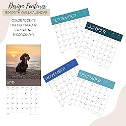 July 2025- December 2026 Dachshund Wall Calendar 18