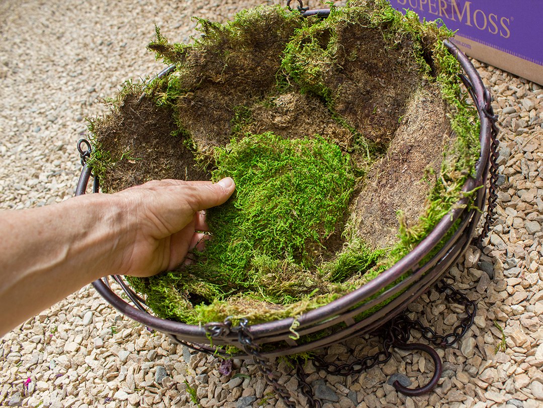 SuperMoss (21508) Preserved Sheet Moss, Fresh Green, 5 Pounds