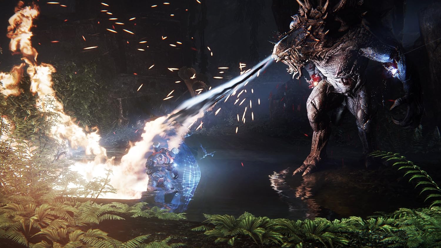 evolve xbox store