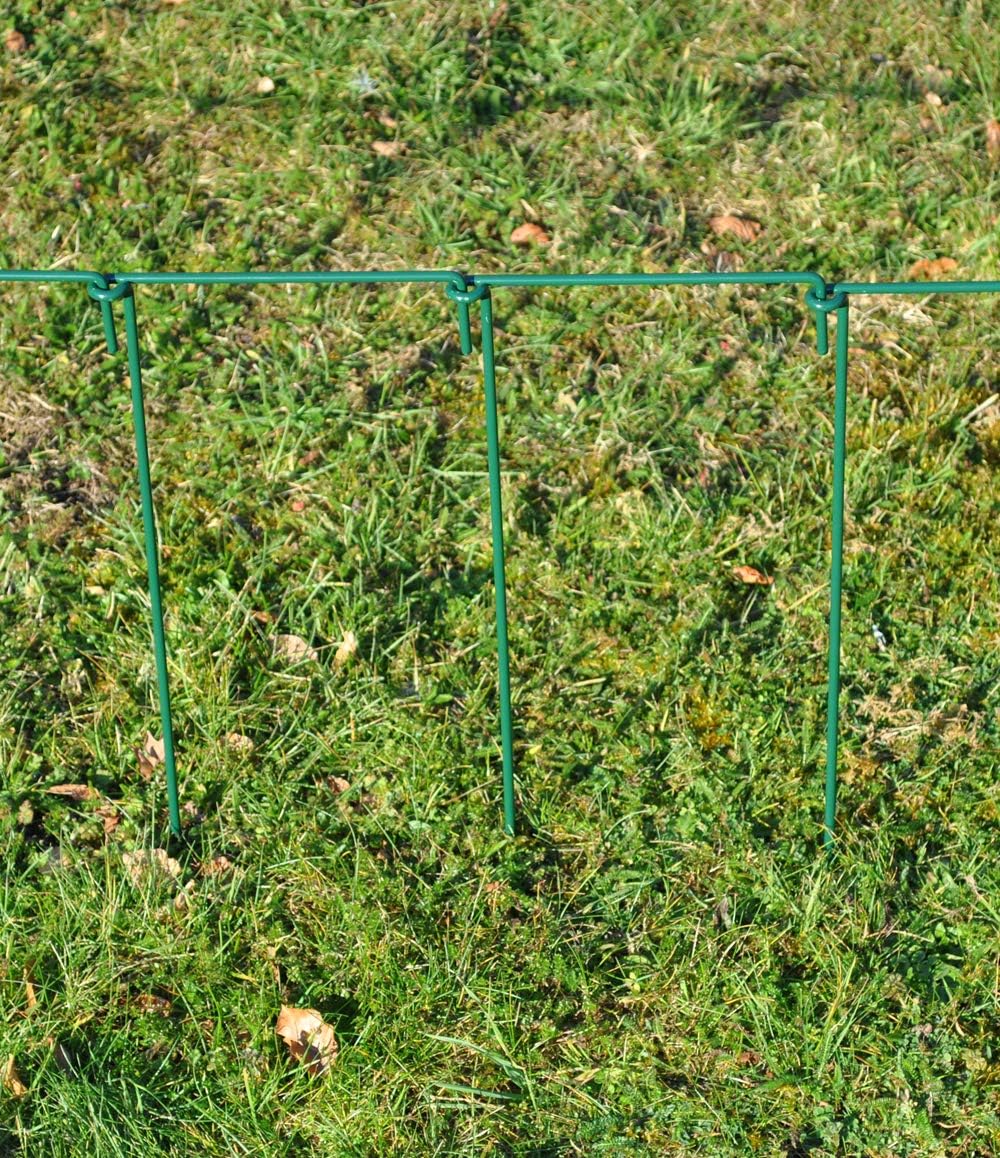 Selections - Soporte de Metal para Plantas herbáceas (50 x 20 cm ...