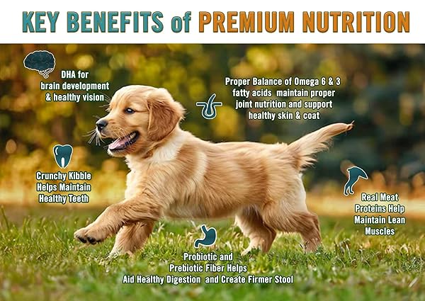 CHICKEN SOUP FOR THE SOUL ALL NATURAL PREMIUM DRY PUPPY FOOD, REAL MEAT FIRST INGREDIENT, NO BY-PRODUCTS, SUPPORTS BRAIN DEVELOPMENT & STRONG BONES & TEETH, CHICKEN, TURKEY & BROWN RICE, 13.5LB