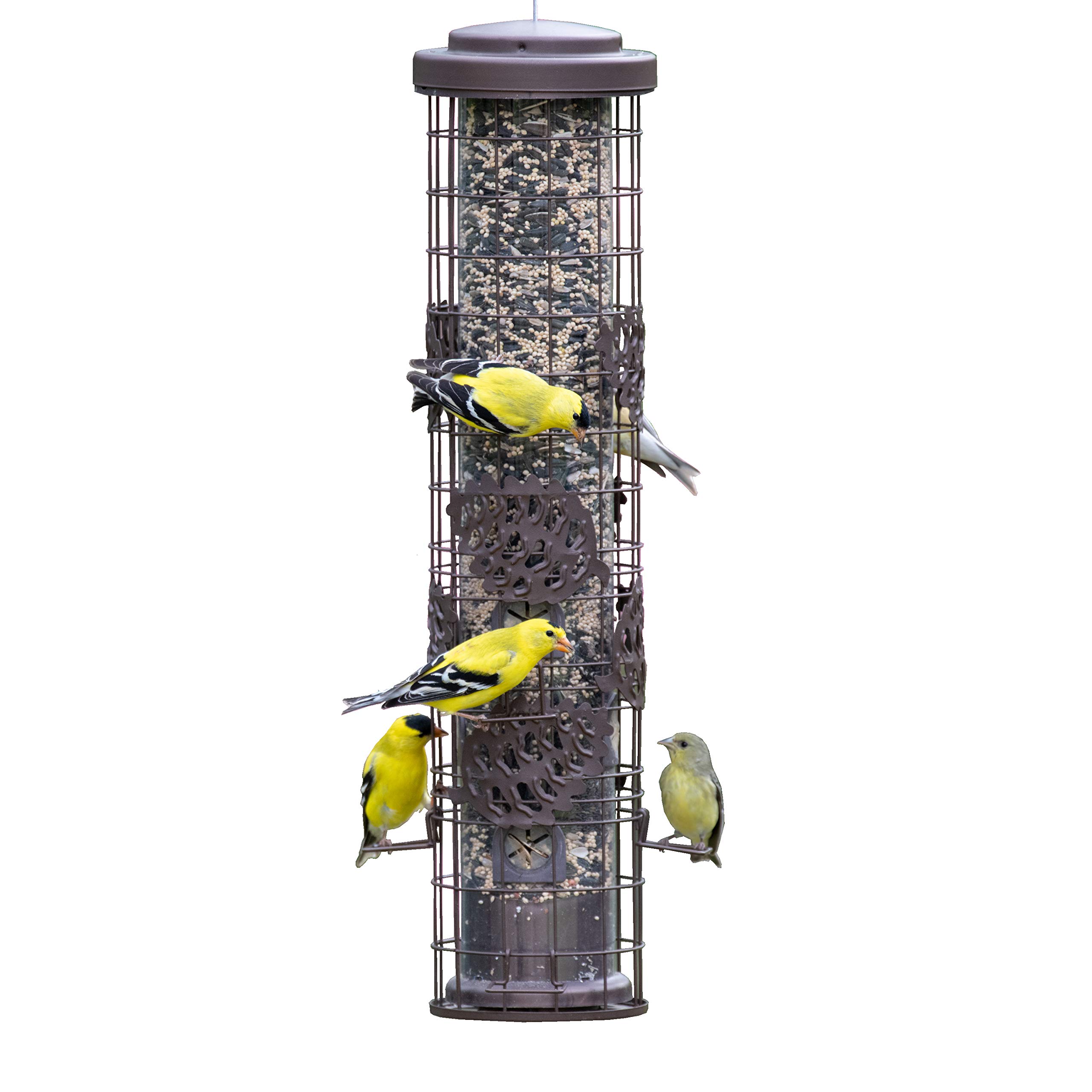 Perky-Pet SBG101 Squirrel Off Max Pinecone Bird Feeder with Flexports – 1.75 lb Capacity