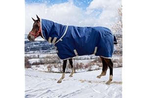 Jranter 1200D Winter Waterproof Horse Trunout Blanket, 280g / 14oz Warm Cotton Filling Liner with Turnout Neck Cover Detachable, Medium Weight Waterproof Horse Blanket