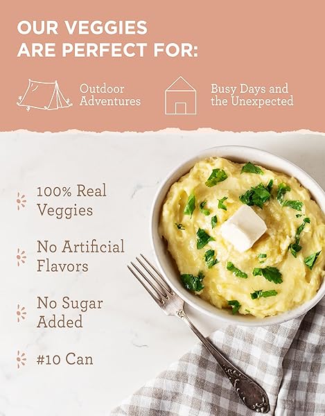 READYWISE SIMPLE KITCHEN HOMESTYLE MASHED POTATOES, 45 SERVINGS – GLUTEN-FREE FREEZE-DRIED MRE FOR EMERGENCY FOOD SUPPLY, LONG-TERM STORAGE, CAMPING, SURVIVAL, AND DISASTER PREPAREDNESS, #10 CAN