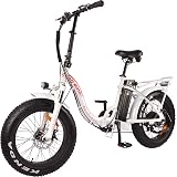 DJ Folding Bike 500W 48V 13Ah Power 