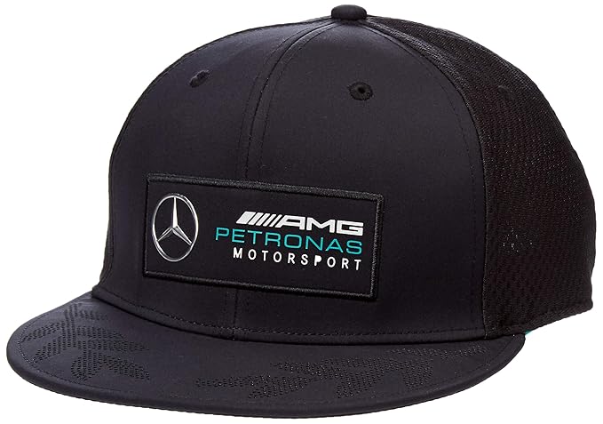 mercedes benz amg petronas motorsport