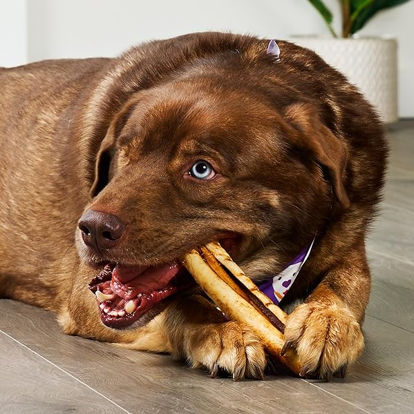 TREATLY USA BEEFHIDE ROLLS 8-9″ DOG CHEW TREATS – PEANUT BUTTER FLAVOR, 15 COUNT/1 PACK