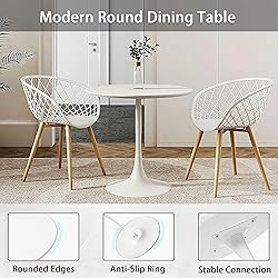 Howhio White Round Dining Table, 24 Inches Tulip