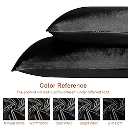 EHEYCIGA Satin Pillowcase Queen Set of 2, Soft