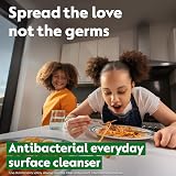 Dettol Antibacterial Surface Cleaner Fragrance Free 1L Pack 6 (6.0L) view 2