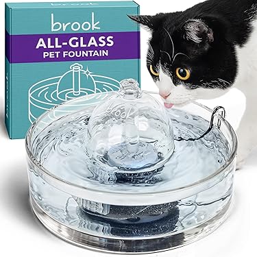 anti vomit cat food bowl Tilted Elevated Cat Food Bowl - Raised Cat Dish Anti Vomiting