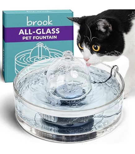 Amazon.com: Buy Avocado Fountain with Extra 8 Carbon Filters and 4 Foam  Filters Bundle : Home & Kitchen