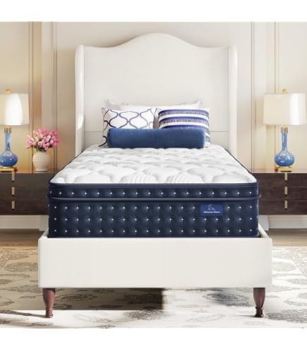 Firm Queen Mattress Queen Mattress 10 Inch, 5-Zone Deep
