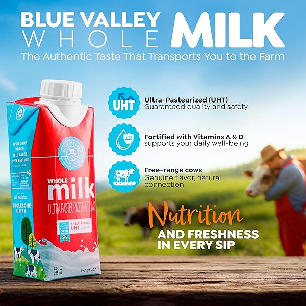 BLUE VALLEY SHELF STABLE WHOLE MILK BOXES WITH VITAMIN D – NO REFRIGERATION NEEDED 8 OZ SINGLES (24 PACK) KOSHER CHOLOV YISROEL, UHT PASTEURIZED TETRA PAK CARTON.