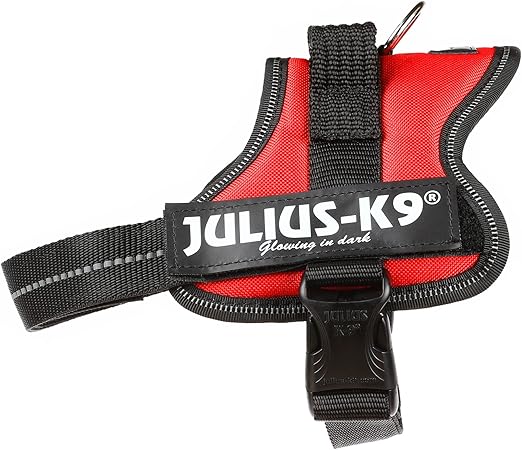 Julius-K9 Mini, 51-67 cm, Rojo: Amazon.es: Productos para mascotas