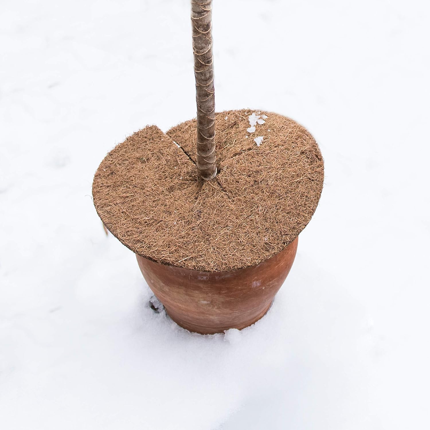 Connex Indoor Greenhouse with Recesses & Gutter/Propagation House for Seeds & Seedlings/Room Greenhouse, natural, diameter 25 cm - Image 4