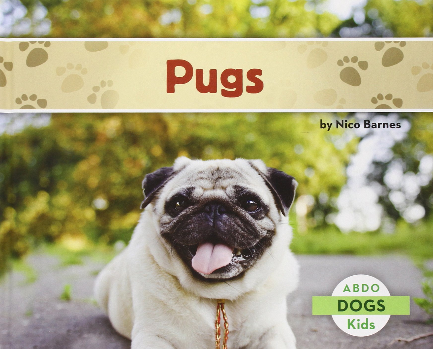 pug dog amazon