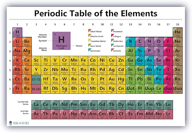 Amazon ポスター 周期表 科学 ラミネート加工 チャート 教育 ホワイト 原子 教室のかざり プレミアム 教育者 原子番号ガイド 21年度版 18 X 24インチ Young N Refined ヤングアンドリファインド 授業 レッスン用副教材 文房具 オフィス用品