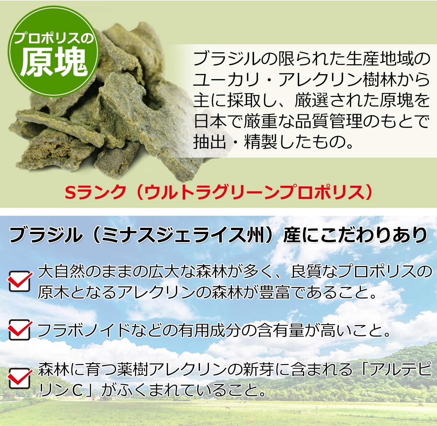 Amazon ウルトラグリーン プロポリス ３００ ビタミンc 配合 世界最高峰sランク Gmp国内工場生産 ６０粒 ３０日分 Natulabieute プロポリス