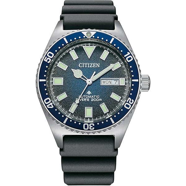 Amazon.com: [Citizen] Citizen Watch Promaster Professional Master