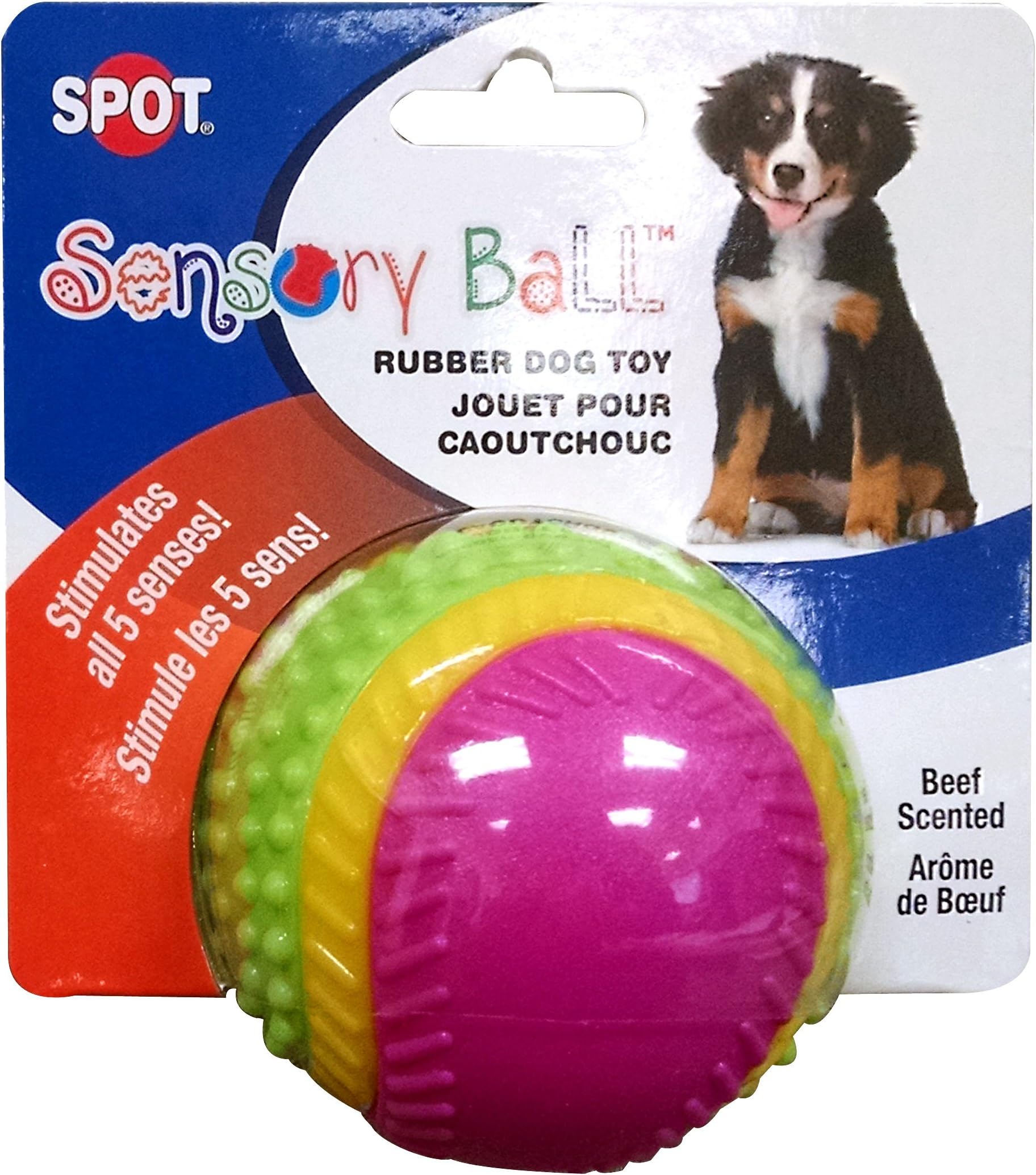 SPOTSensory Ball for Soft Chewers - Stimulates All 5 Senses, Bell & Squeaker Sounds, Raised Nubs Clean Teeth, High Contrast Fetch Toy, Beef Scented, Durable TPR Rubber Ball, 2.5-inch