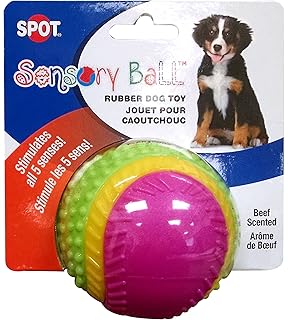 dog ball that rolls by itself