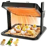 Brooder Heater for Chicks &ndash; 10.8" Radiant Heat Plate with Adjustable Height &amp; Angle, Thermostat Control (113&ndash;158 ℉), Safe &amp; Even Warmth for up to 15 Baby Chicks