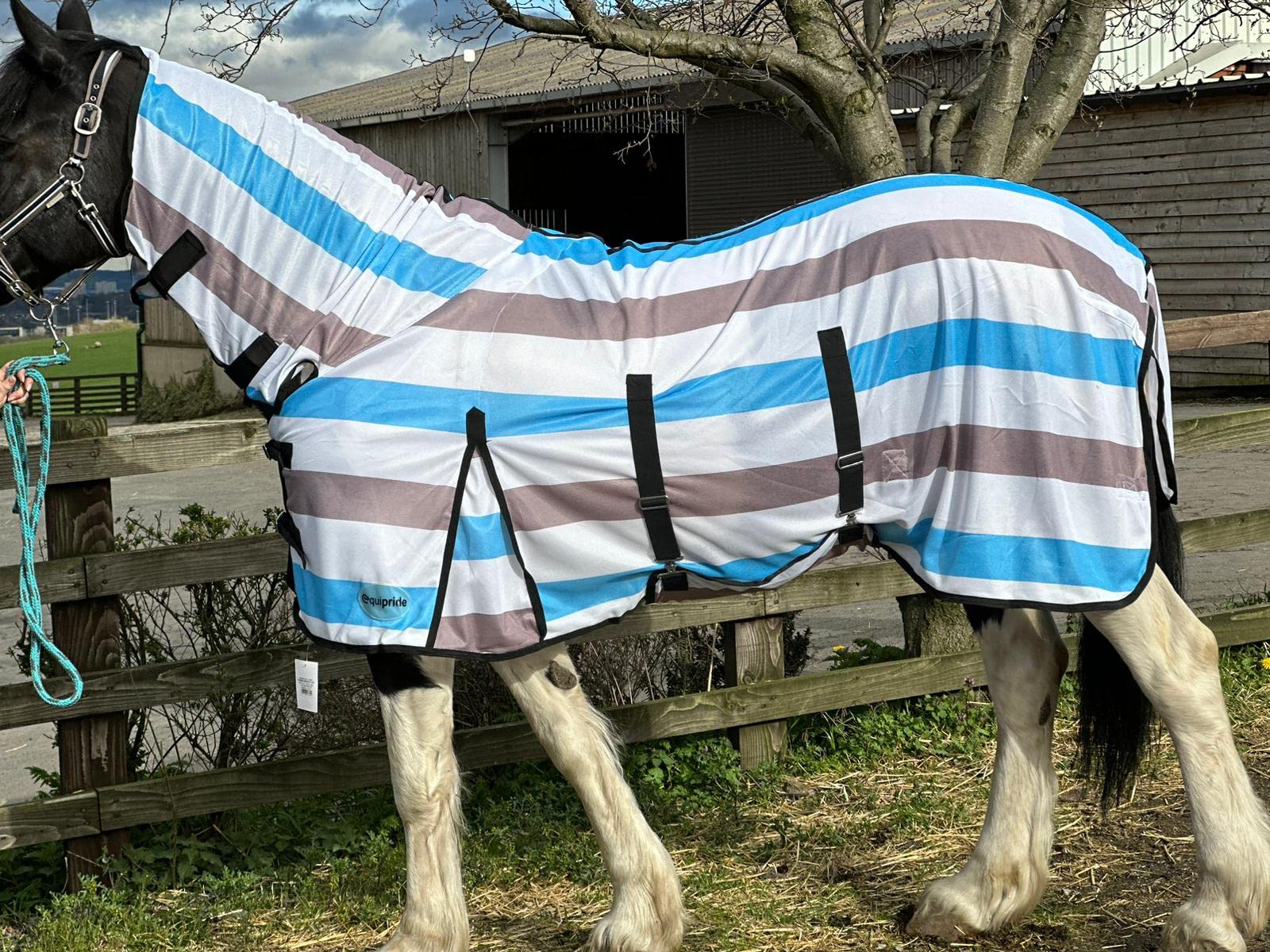 Equipride Premium Quality Horse Fly Rug Fly Sheet with Neck & Mask 3'0" to 7'3" (4'0")