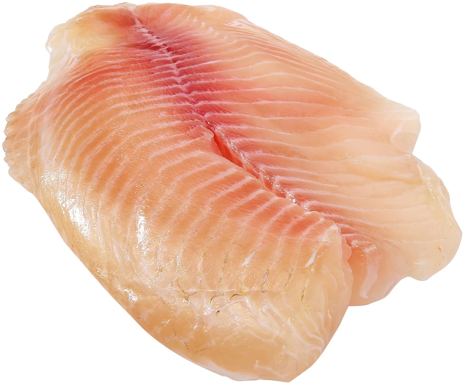 Tilapia Fillet, 48 oz Grocery & Gourmet Food