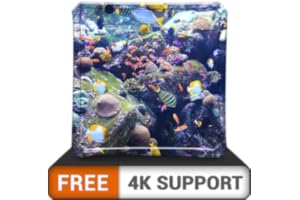 aquarium HD de beauté aquatique gratuit - décorez votre chambre avec un magnifique aquarium de vie marine sur votre téléviseu