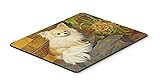 Caroline's Treasures MH1053MP "Chihuahua Just