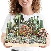 PINELIFE Pop Up Cards, 3D Cactus & Succulent Paper Plants Card, Birthday, Thank You,Get Well Greeting Cards for Friends and Coworkers with Envelope & Note Card (Desert Garden)