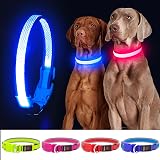 YFbrite Light Up Dog Collar USB Rechargeable LED Blue Medium view 6