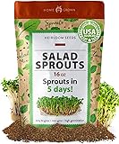 HOME GROWN Microgreens & Sprouts Salad Seeds Mix