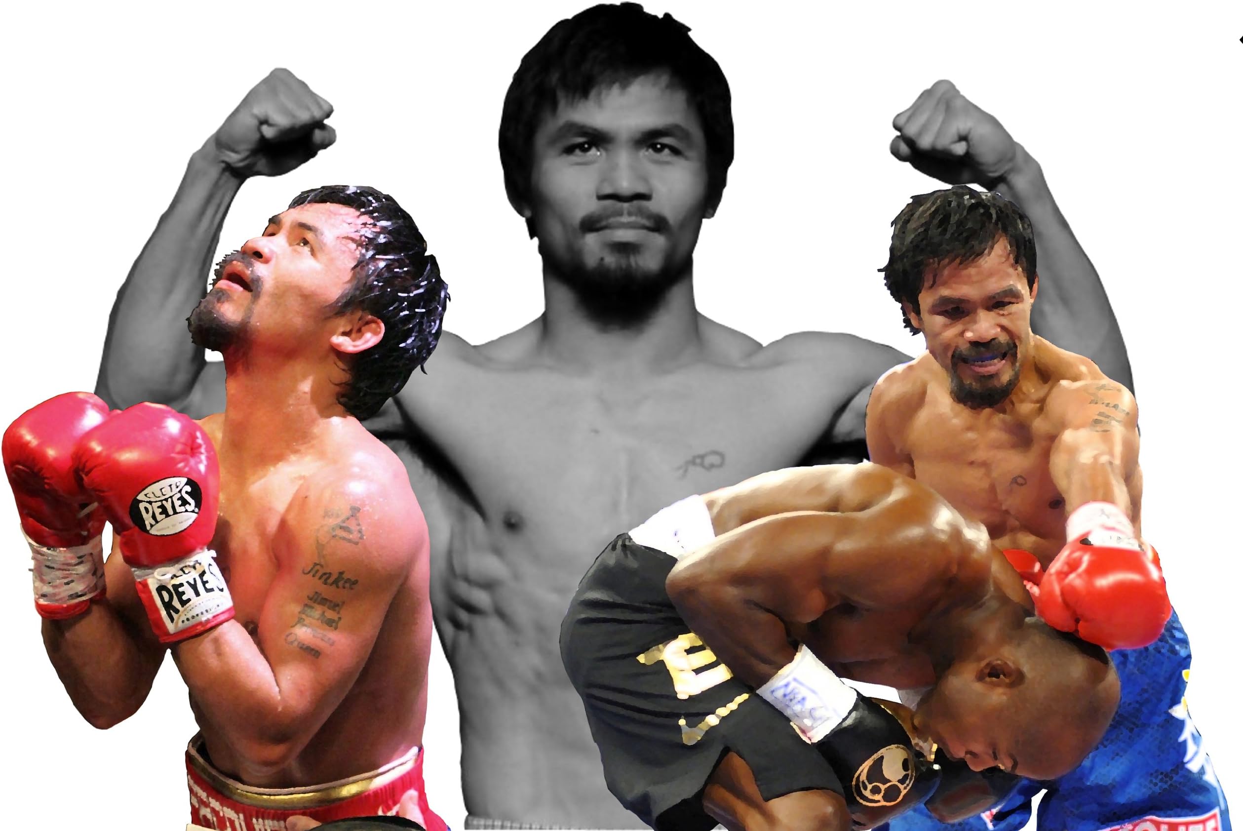 MANNY PACQUIAO BOXING CHAMPION POSTER PAINTING CANVAS ART GICLEE PRINT SIZE WHITE BACKGROUND - LARGE 24" x 36"