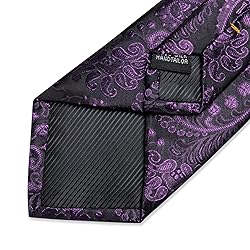 DiBanGu Silk Paisley Ties for Men Woven Necktie and