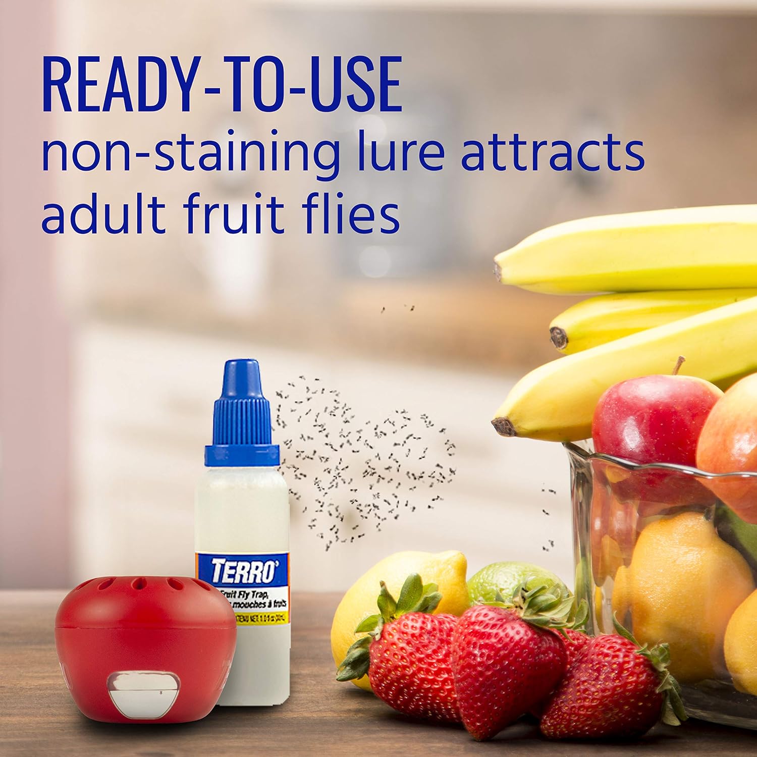 TERRO T2502 Fruit Fly Trap – 2 traps : Garden & Outdoor