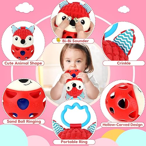 Baby Teething Toys for Babies 0-6 Months,Sensory Chew Toys,Rattle