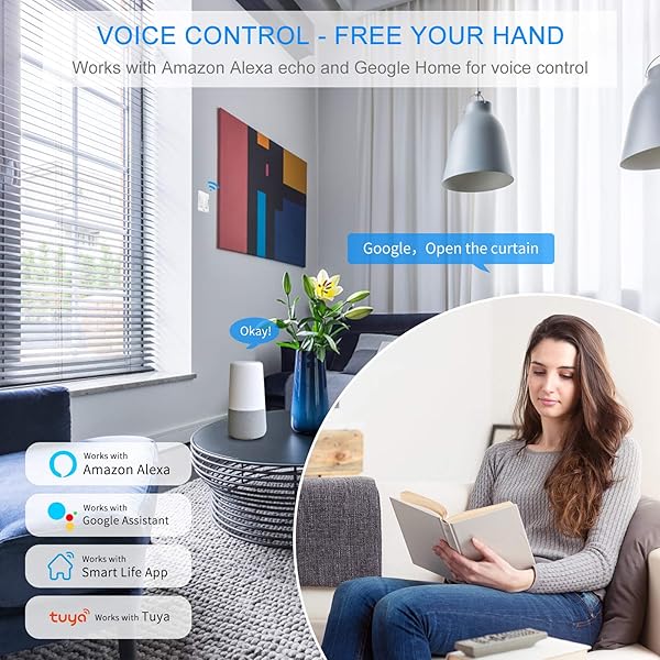 Alexa Interruptor Persiana Wifi DANGZW Interruptores de Persianas y Puertas Automticas Compatible con Google Home Alexa y Control de APP para Persianas Enrollables y Puertas de Garaje 1 Pieza