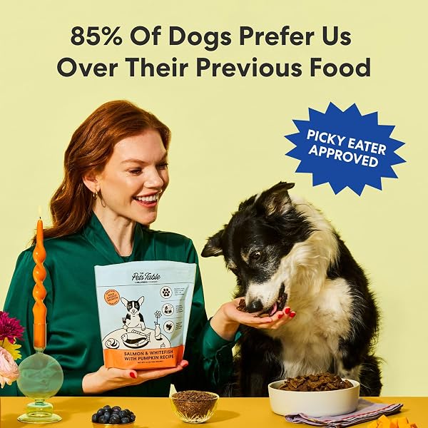 THE PETS TABLE BEEF & BERRIES GRAIN-FREE AIR DRIED DOG FOOD, 1 LB (16 OZ) BAG
